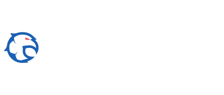 nowgoals.club